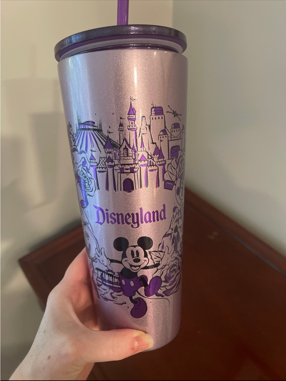 Starbucks Disneyland Tumbler